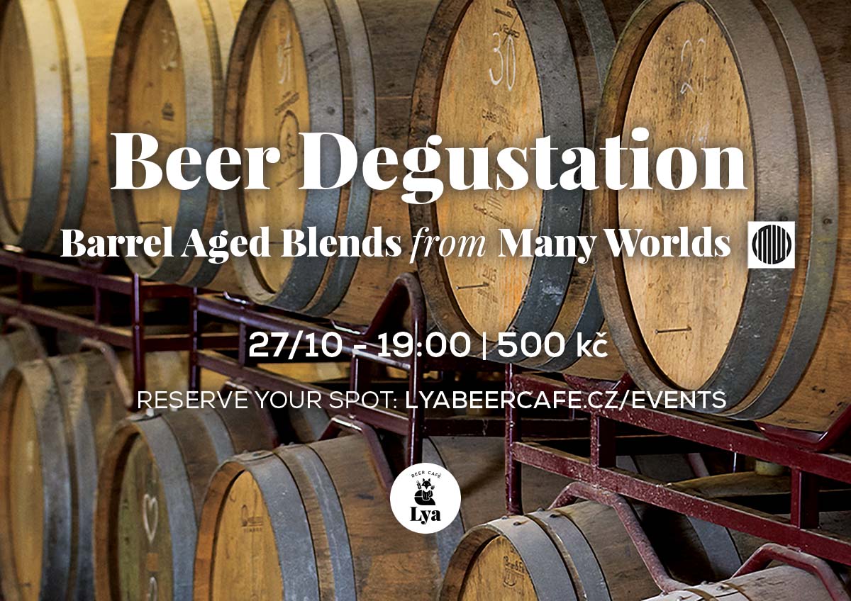 Beer Degustation - Many Worlds Brewery