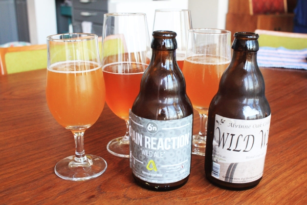 Sour Beer Styles